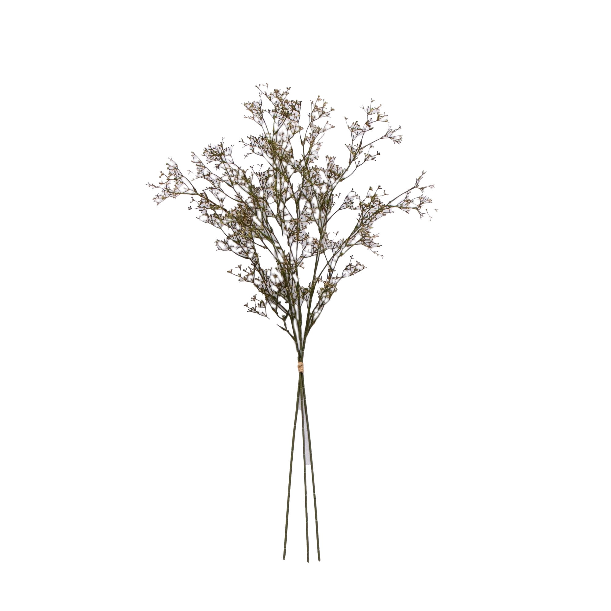 Dried Pampas Bundle - Ev Dekorasyonu İç Mekan Çiçek Aranjmanları