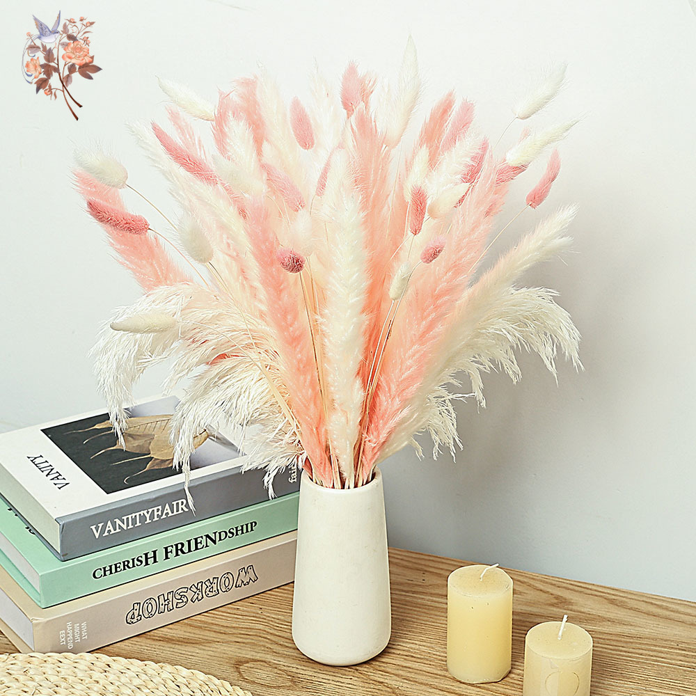 Dried Pampas Bundle - 62 Parça Beyaz Sazlık Pembe Tavşan