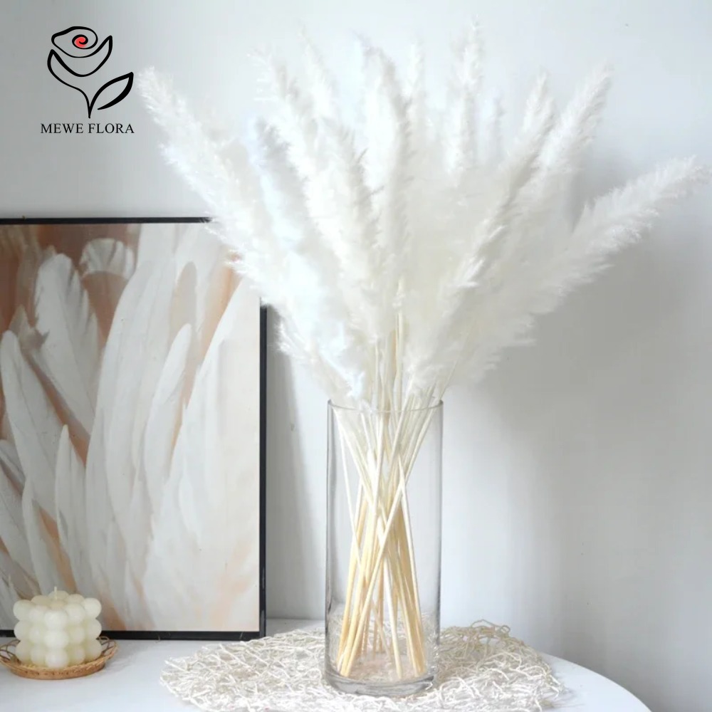 Dried Pampas Bundle - 20 adet Kabarık Pampas Çim Kamışları