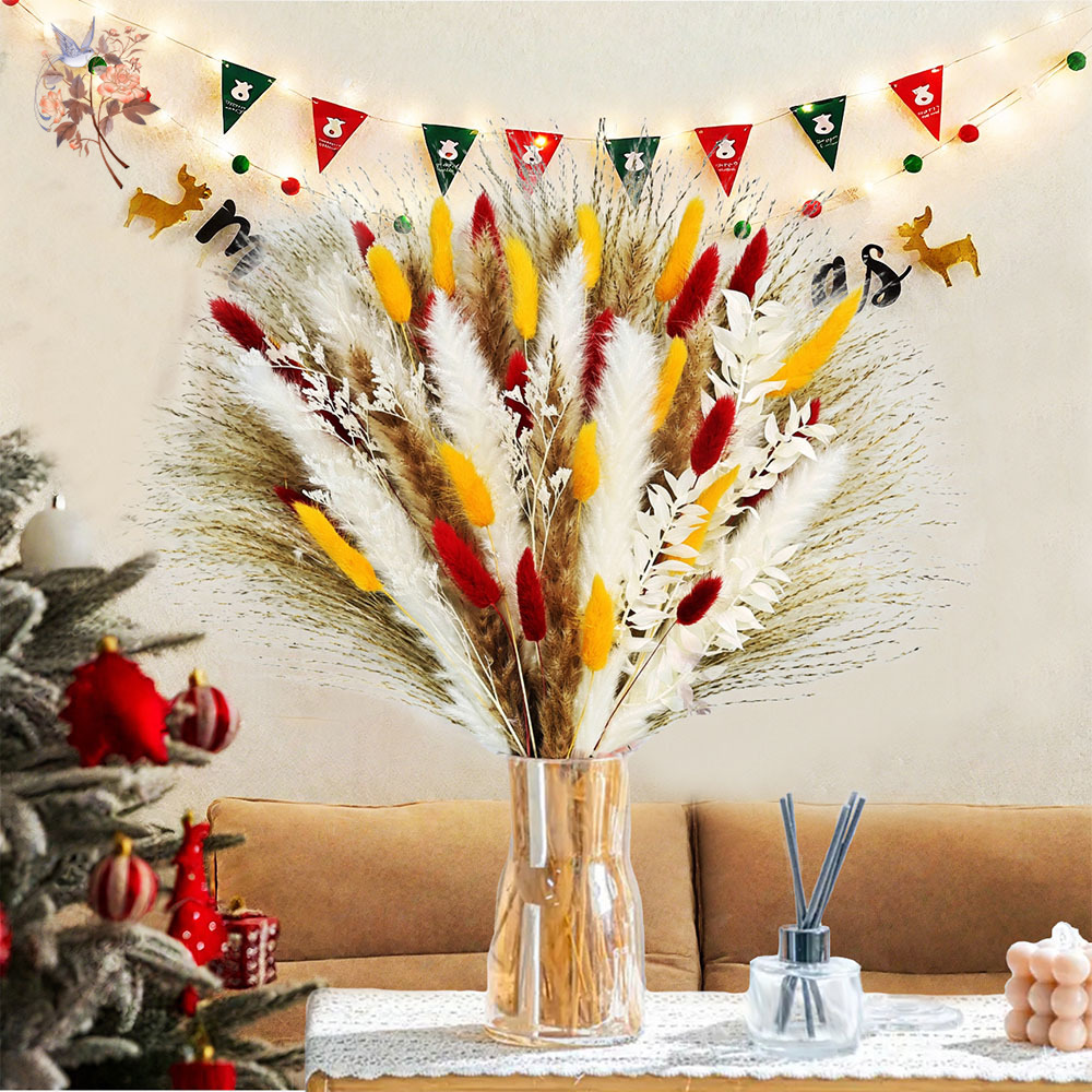 Dried Pampas Bundle - 70 Saplı Doğal Kabarık Pampas Otu