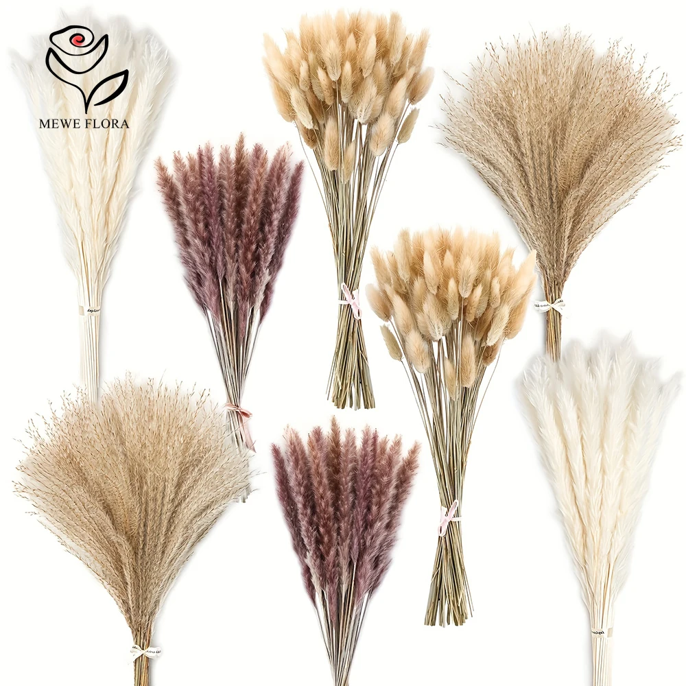 Dried Pampas Bundle - 200 Adet Kurutulmuş Pampas Tavşan Kuyrukları
