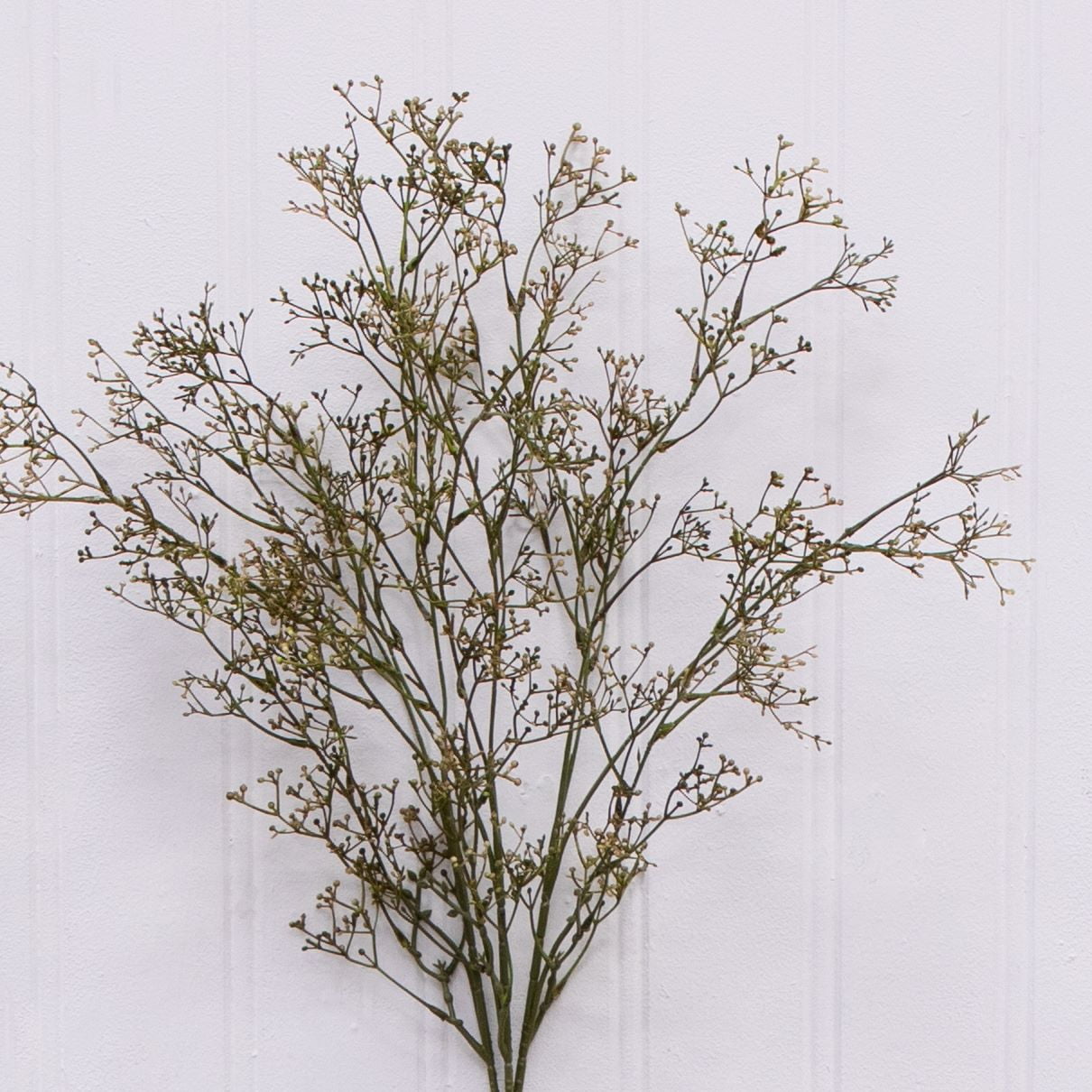 Ev Dekorasyonu İç Mekan Çiçek  - Dried Pampas Bundle incelemesi ve fiyatı