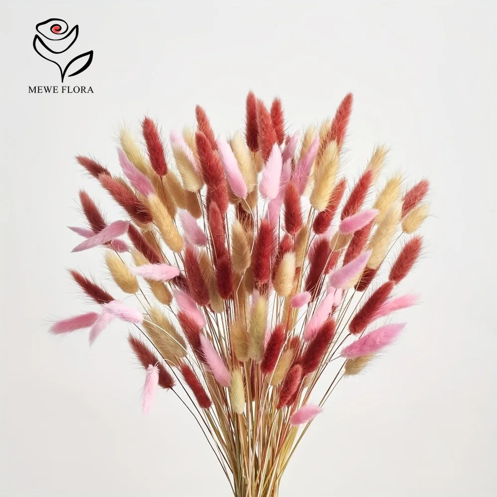 90 adet Karışık 3 Renk Tavşan  - Dried Pampas Bundle incelemesi ve fiyatı