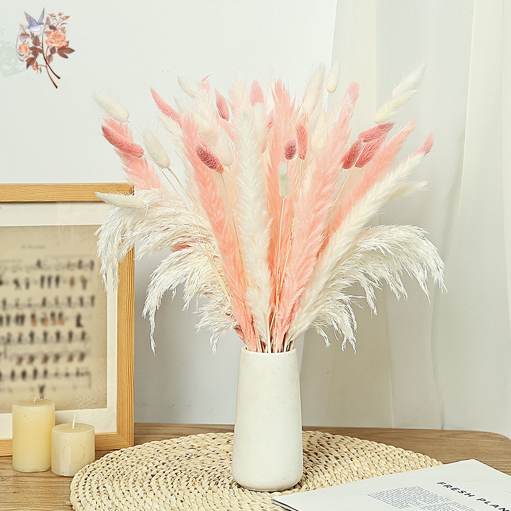 62 Parça Beyaz Sazlık Pembe Ta - Dried Pampas Bundle incelemesi ve fiyatı