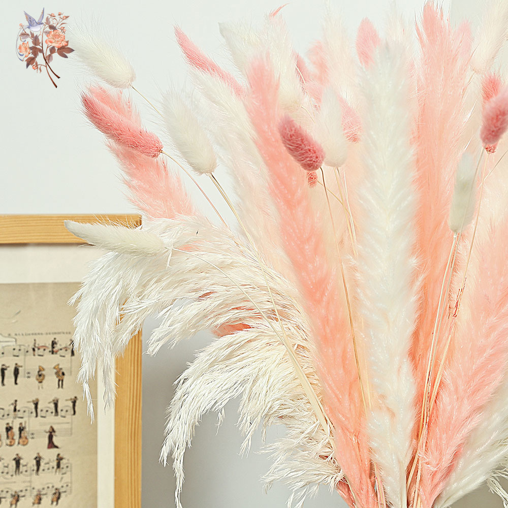62 Parça Beyaz Sazlık Pembe Ta - Dried Pampas Bundle incelemesi ve fiyatı