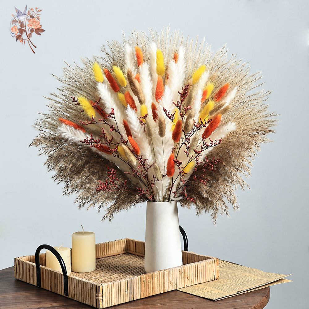 85 Parça Doğal Kabarık Sonbaha - Dried Pampas Bundle incelemesi ve fiyatı