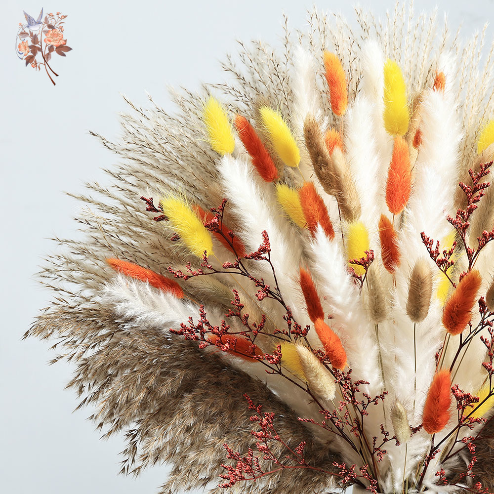 85 Parça Doğal Kabarık Sonbaha - Dried Pampas Bundle incelemesi ve fiyatı