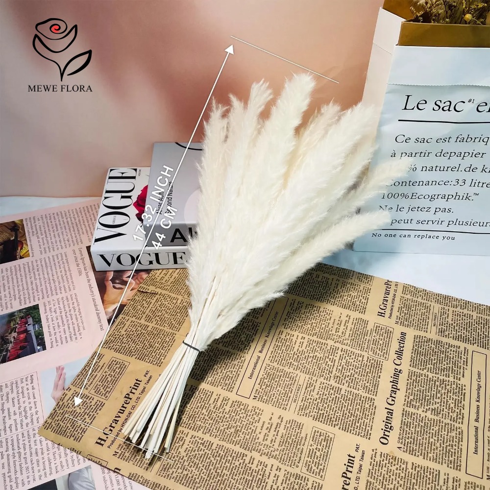 20 adet Kabarık Pampas Çim Kam - Dried Pampas Bundle incelemesi ve fiyatı
