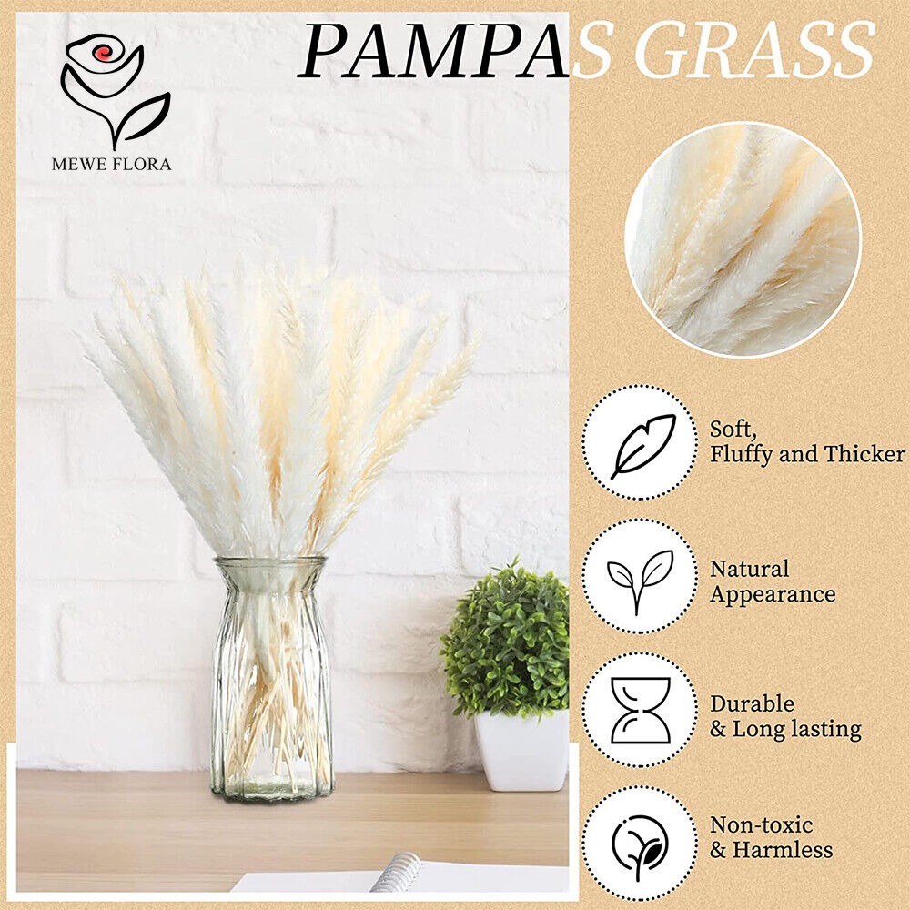 20 adet Kabarık Pampas Çim Kam - Dried Pampas Bundle incelemesi ve fiyatı