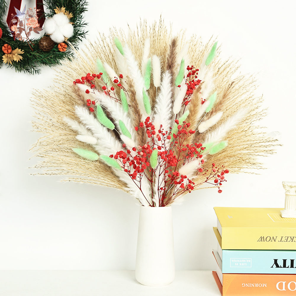 70 Saplı Kabarık Yeşil Kırmızı - Dried Pampas Bundle incelemesi ve fiyatı