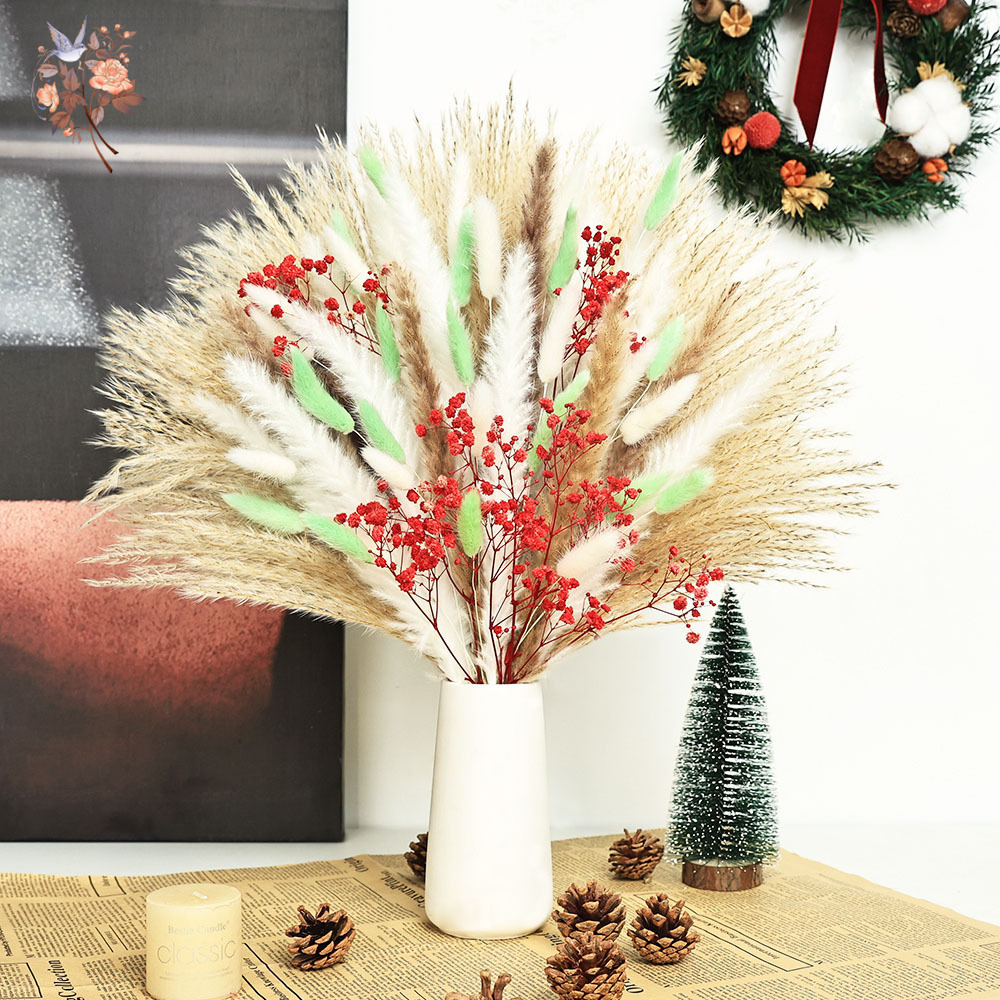 70 Saplı Kabarık Yeşil Kırmızı - Dried Pampas Bundle incelemesi ve fiyatı