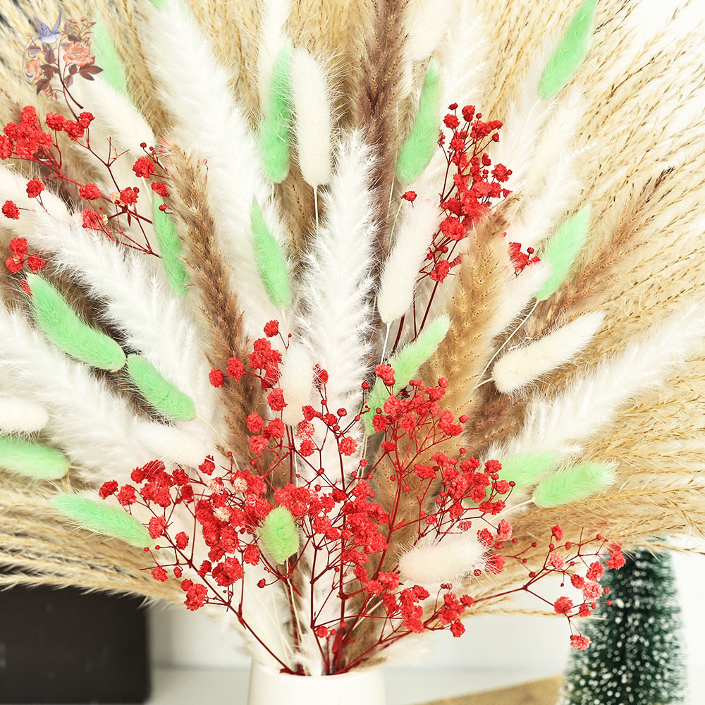 70 Saplı Kabarık Yeşil Kırmızı - Dried Pampas Bundle incelemesi ve fiyatı