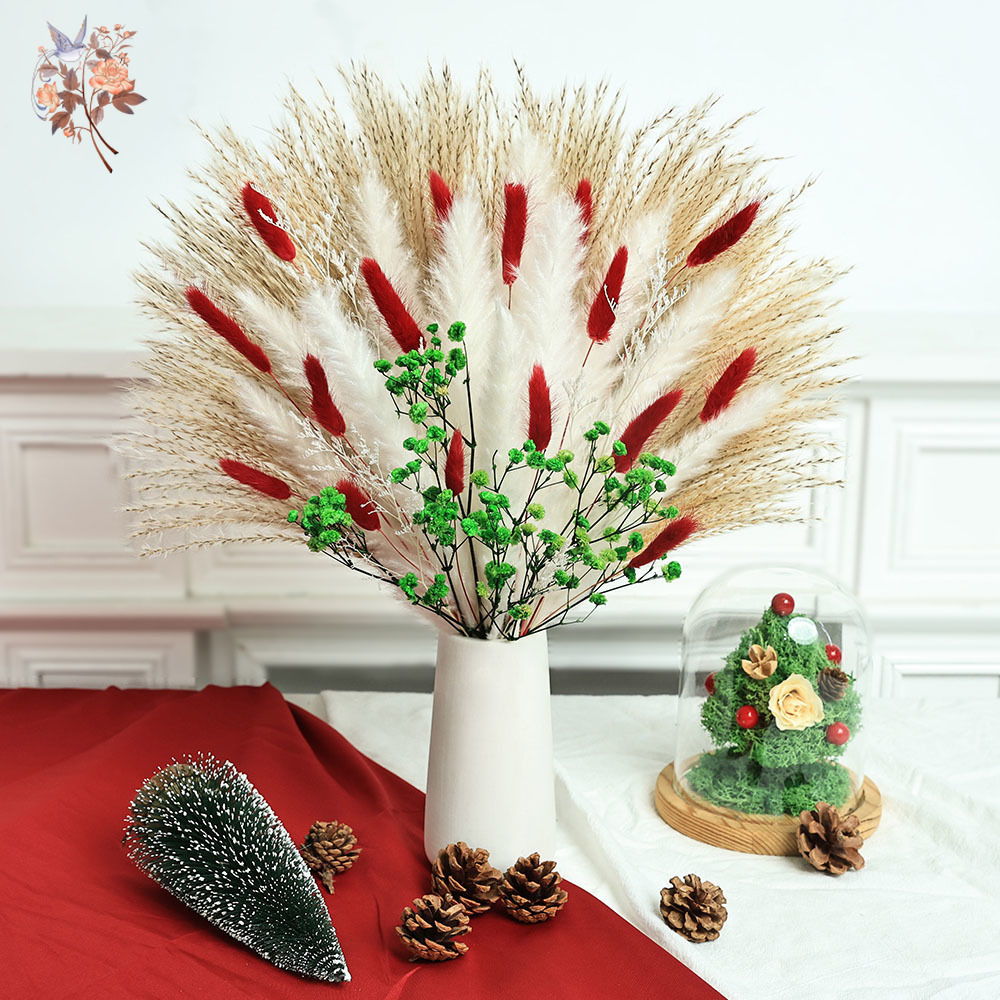 55 adet Kurutulmuş Çiçek Buket - Dried Pampas Bundle incelemesi ve fiyatı