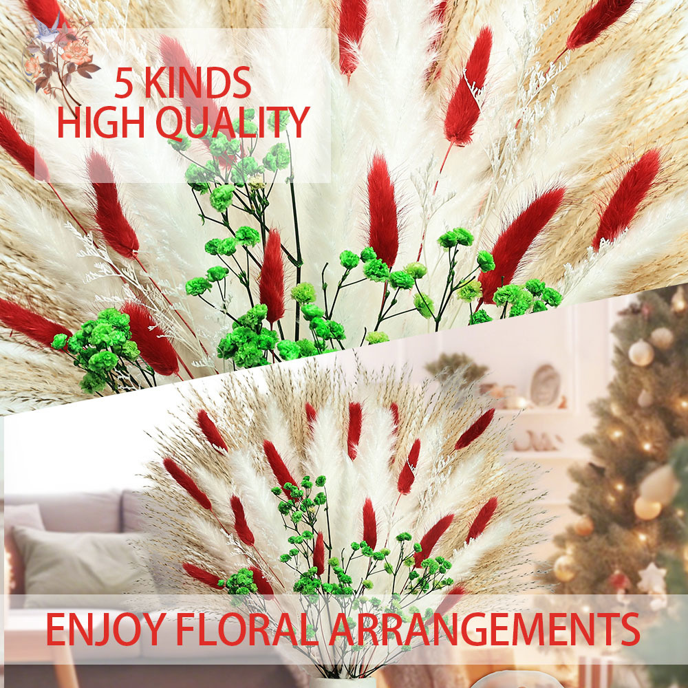 55 adet Kurutulmuş Çiçek Buket - Dried Pampas Bundle incelemesi ve fiyatı