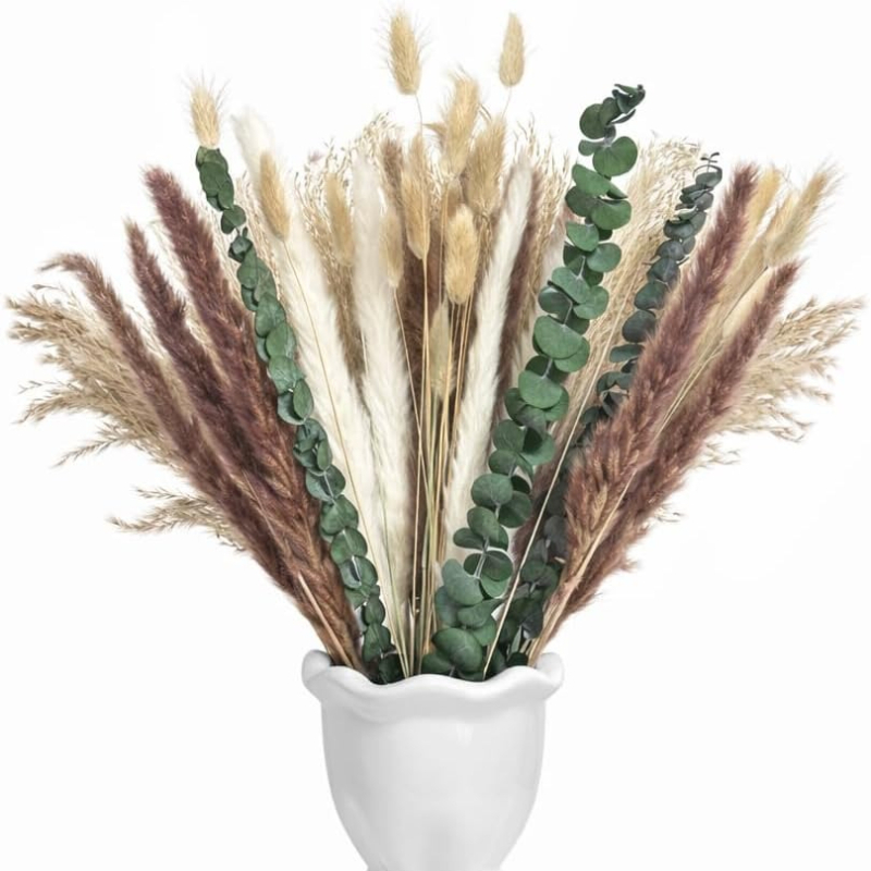 65 Adet DIY Doğal Kurutulmuş Ç - Dried Pampas Bundle incelemesi ve fiyatı