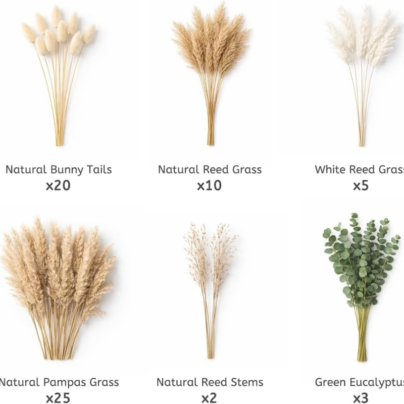 65 Adet DIY Doğal Kurutulmuş Ç - Dried Pampas Bundle incelemesi ve fiyatı