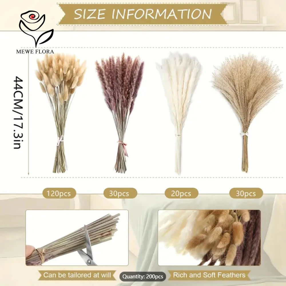 200 Adet Kurutulmuş Pampas Tav - Dried Pampas Bundle incelemesi ve fiyatı