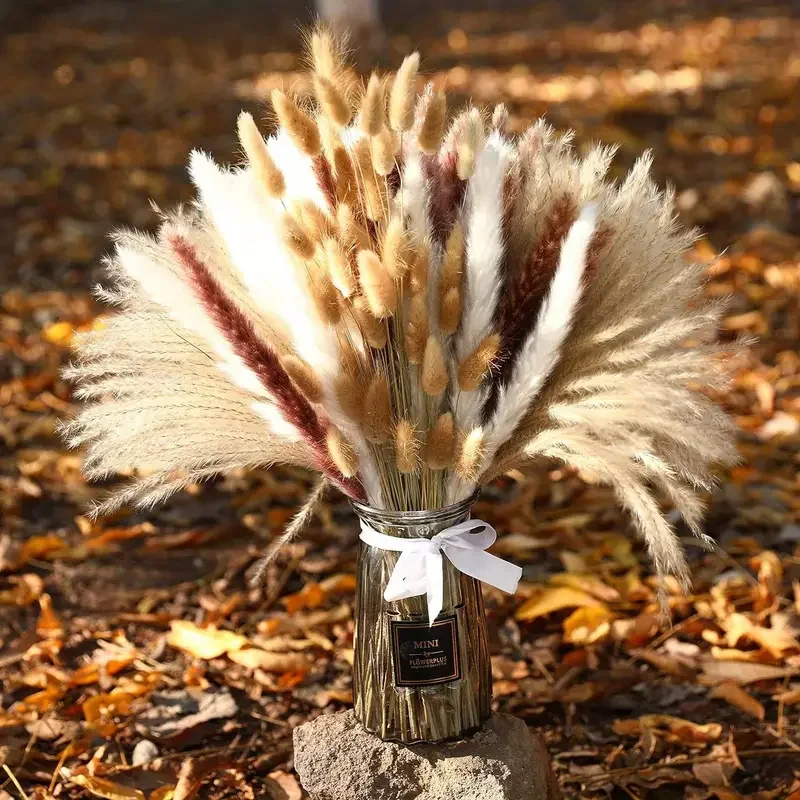 200 Adet Kurutulmuş Pampas Tav - Dried Pampas Bundle incelemesi ve fiyatı