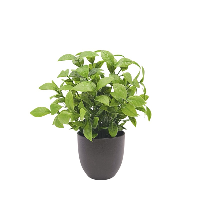 Simülasyon Yeşil Bitki Bonsai  - Interior Design Home Decor incelemesi ve fiyatı
